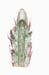 *pinus stem